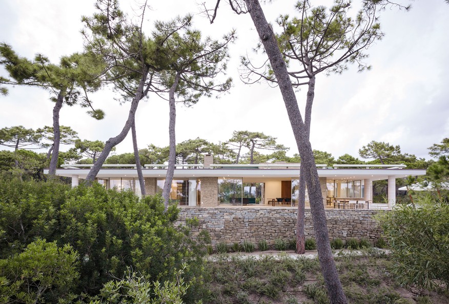 SkyFrame-House-Sergio-Cavero-Forest